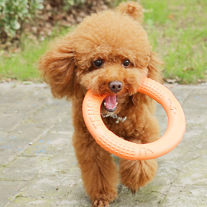 1pc Orange Dog Toys Pet Flying - Snuffle Mat For Dogs recension och pris