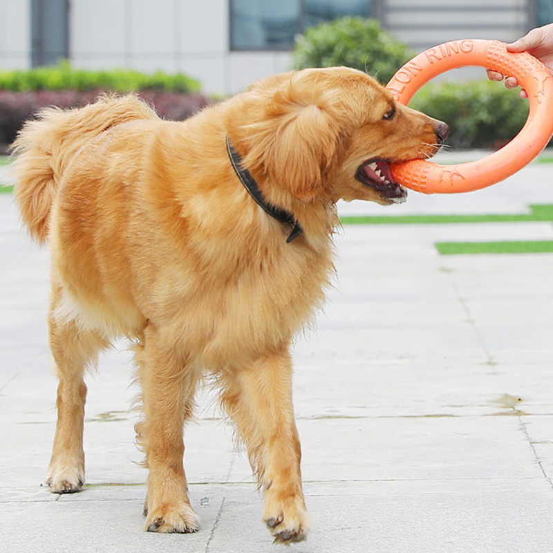 1pc Orange Dog Toys Pet Flying - Snuffle Mat For Dogs recension och pris