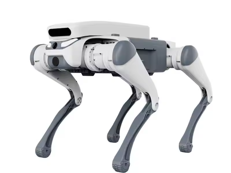 stunt remote control education - Dog Toys recension och pris