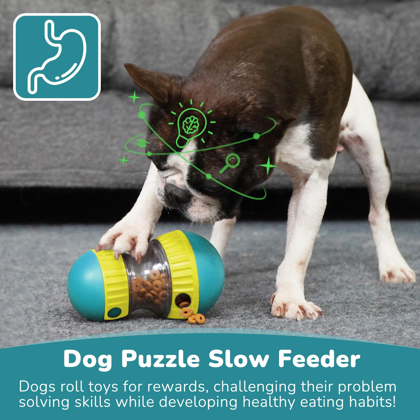 Dog Toys & Adjustable Slow Fee - Snuffle Mat For Dogs recension och pris