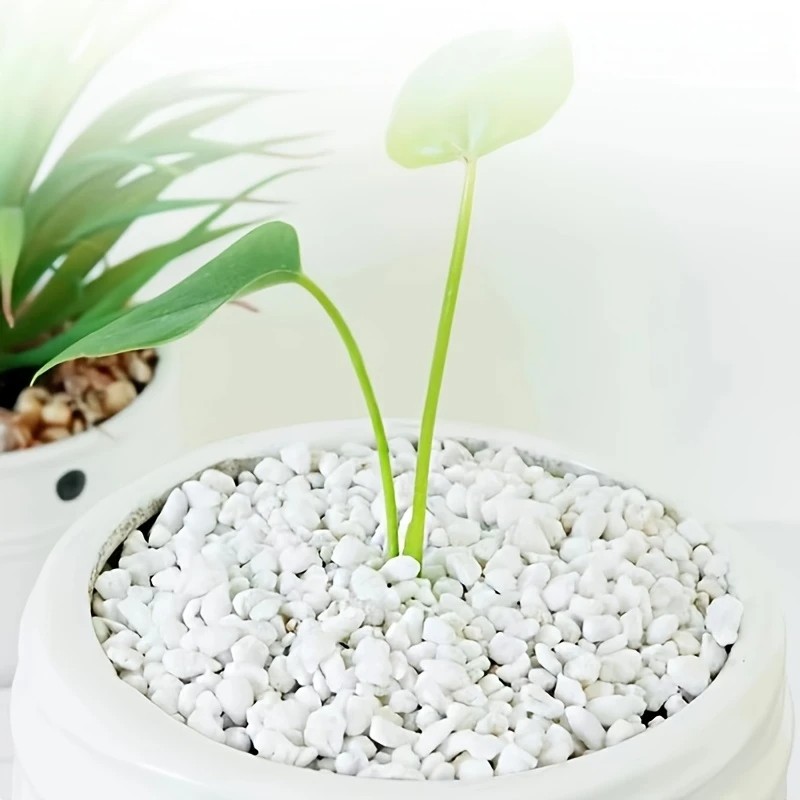 1L high-quality perlite succul - Pet Beds recension och pris