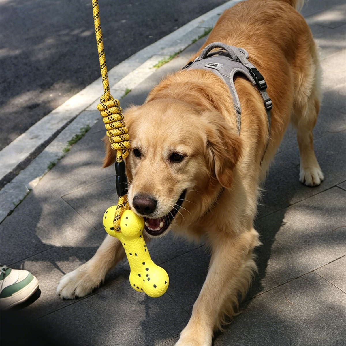 Heavy Duty Dog Tug Rope Toy ET - Dog Rope Toy Aggressive Chewers recension och pris