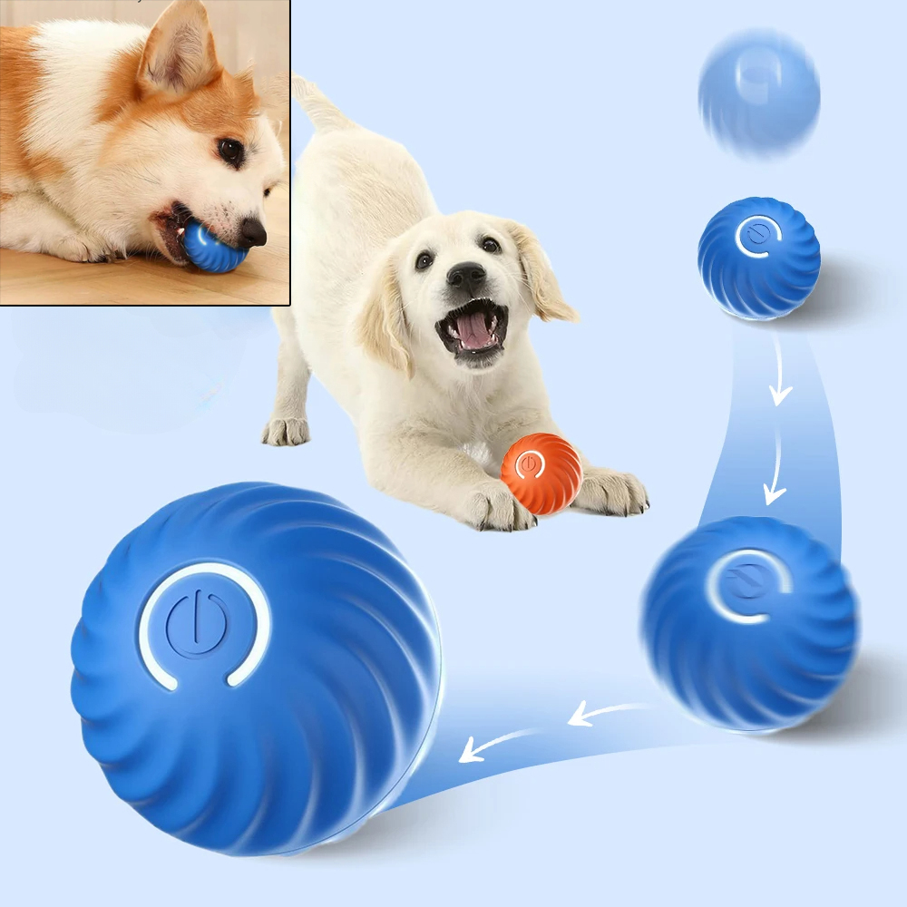 Dog Toy Ball Automatic Moving  - Suction Cup Dog Tug Toy recension och pris