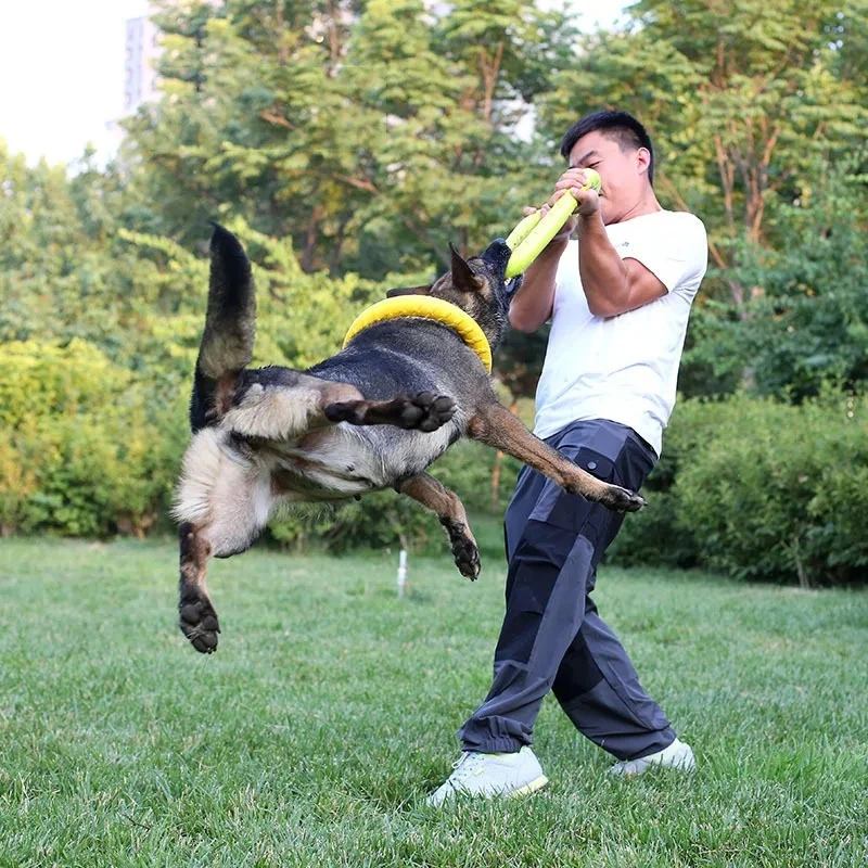 Dog Toys Pet Flying Discs EVA  - Suction Cup Dog Tug Toy recension och pris