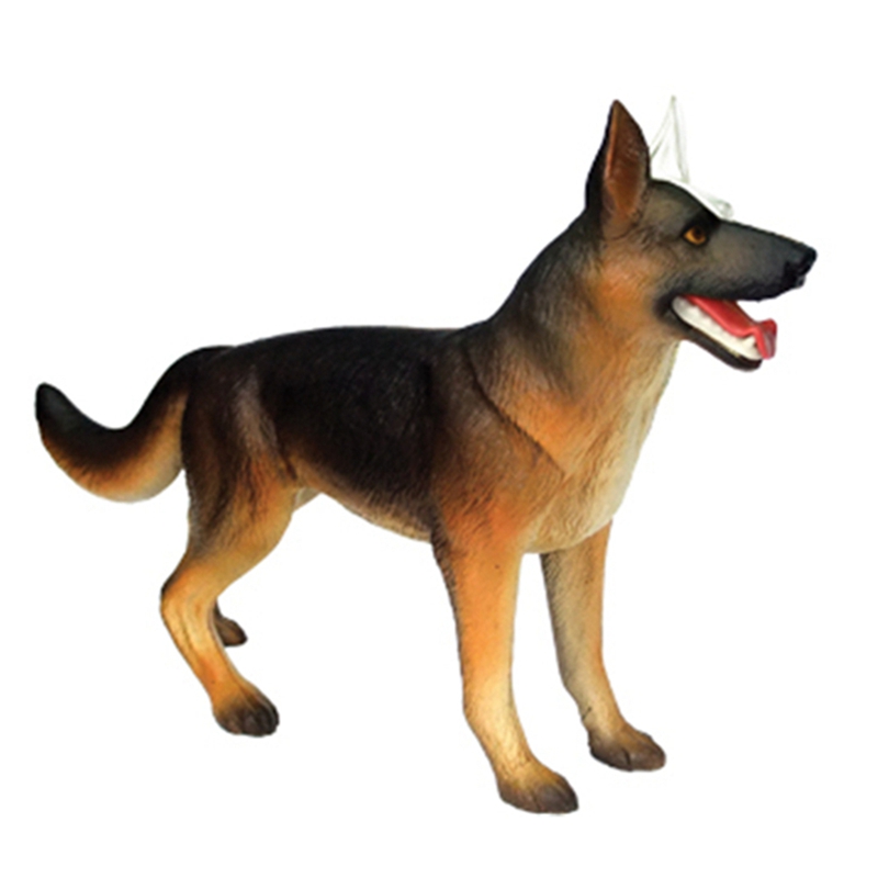 Animal Organ Anatomy Model 4D  - Dog Toys recension och pris