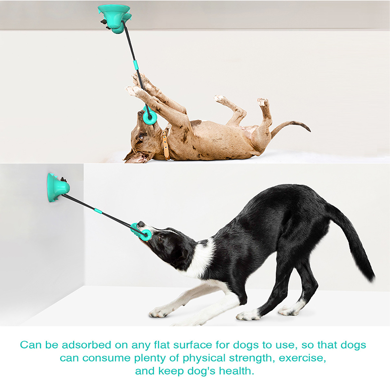 Dual Suction Cup Dog Chew Tug  - Suction Cup Dog Tug Toy recension och pris